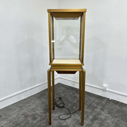Architectural Gold Pedestal Showcase