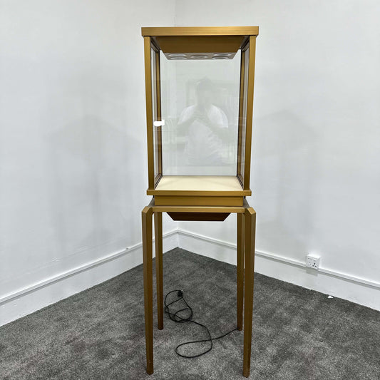 Architectural Gold Pedestal Showcase